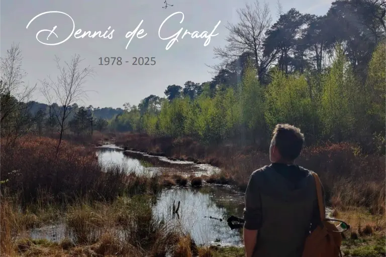 In memoriam Dennis de graaf
